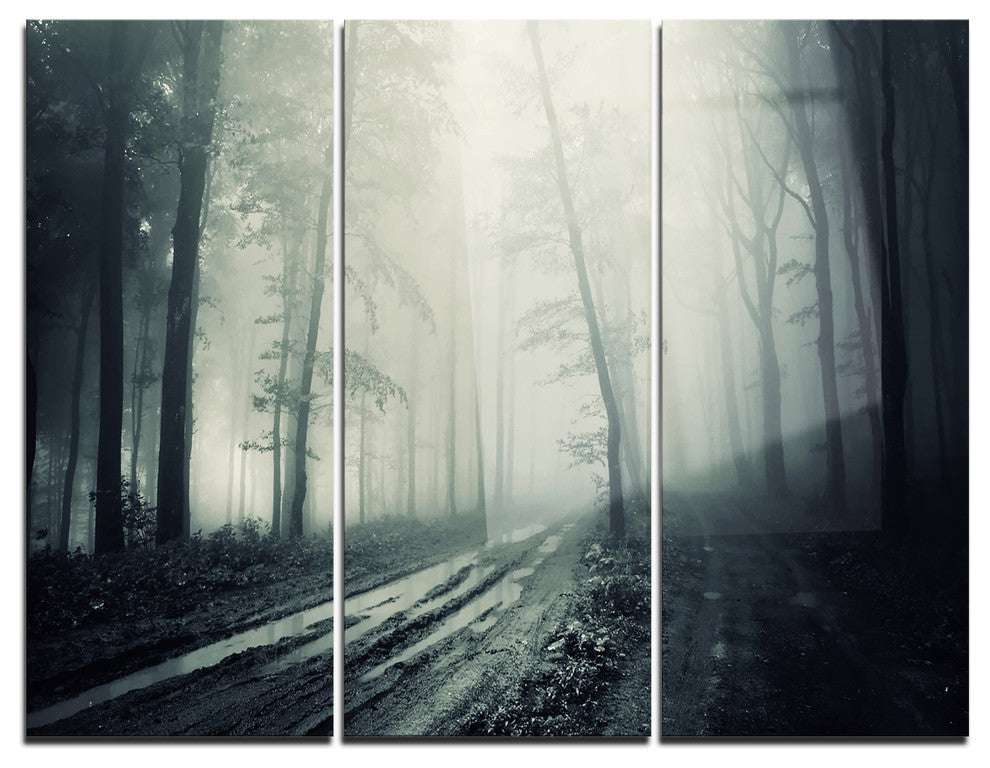 "Spooky Dark Forest With Fog" Photo Metal Wall Art, 3 Panels, 36"x28"