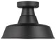 Barn Light One Light Outdoor Flush Mount, Black