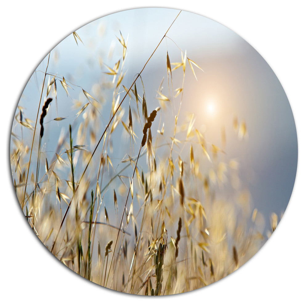 Typical Tuscany Sunset Italy, Landscape Disc Metal Wall Art, 36"