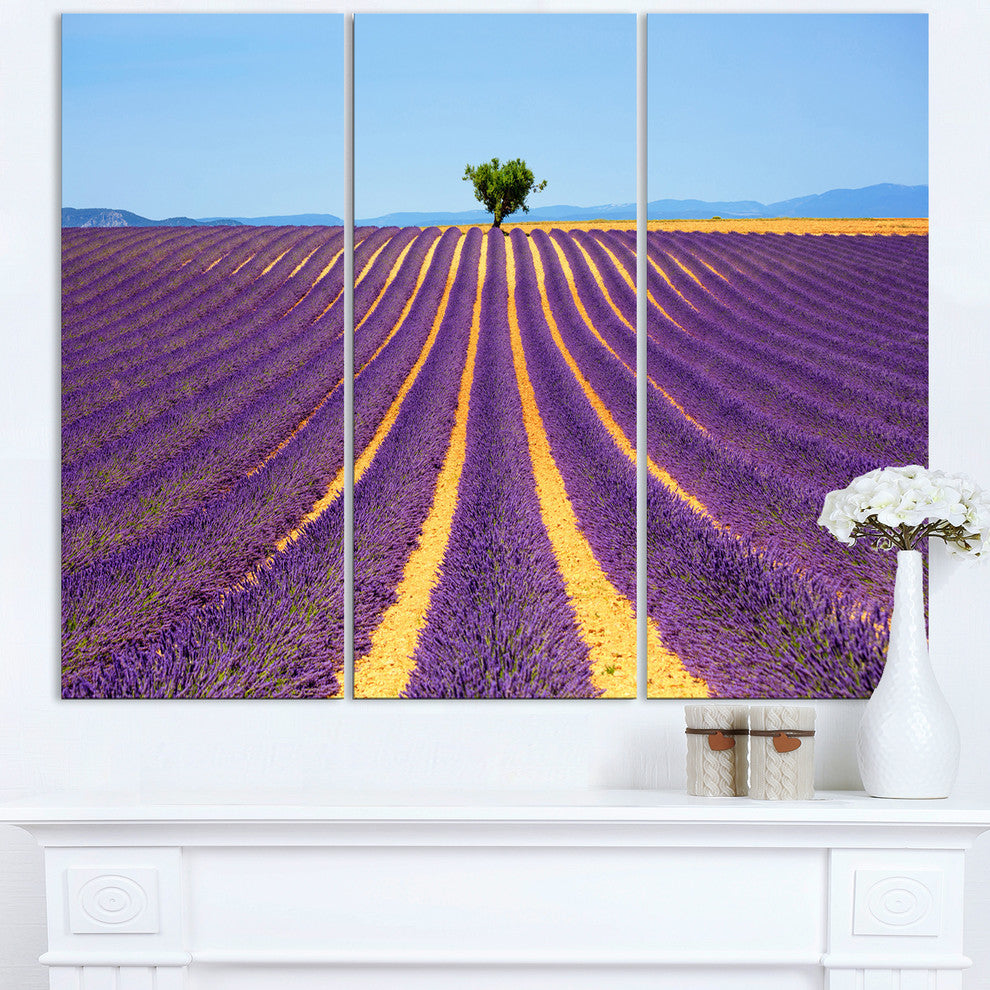 "Lonely Uphill Tree in Lavender Field" Metal Wall Art, 3 Panels, 36"x28"