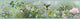 Weatherby Mint Ruby Border Wallpaper Bolt