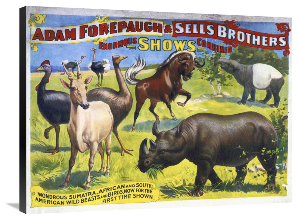 American Wild Beasts And Birds, 36x27