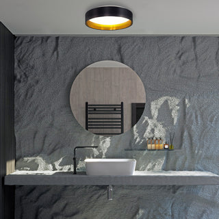 LED Ceiling Light With Black and Gold Finish and White Plastic Diffuser