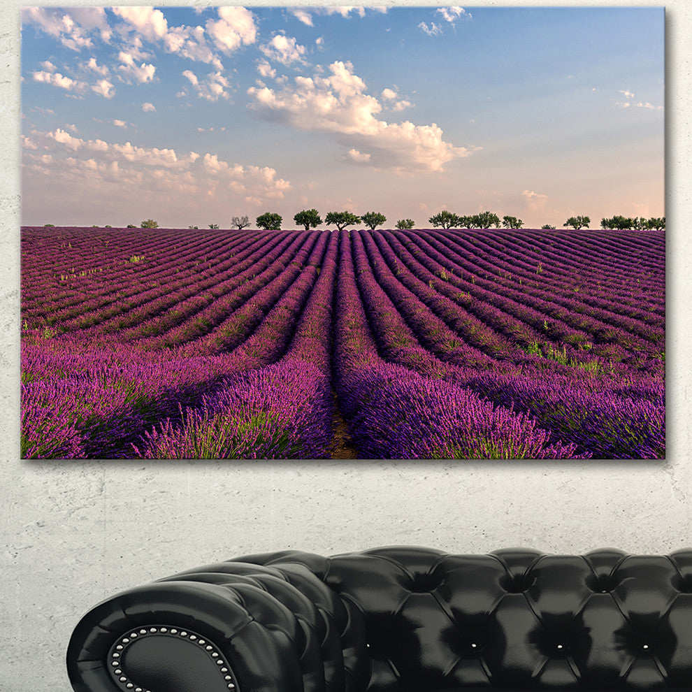 Shiny Lavender Field in Provence, Landscape Canvas Wall Art, 40"x30"