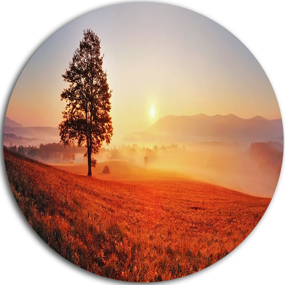 Tree And Sun, Landscape Photography Round Wall Art, 36"