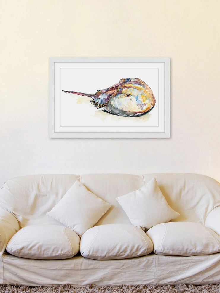 "Horseshoe Crab" Framed Print by Rachel Byler