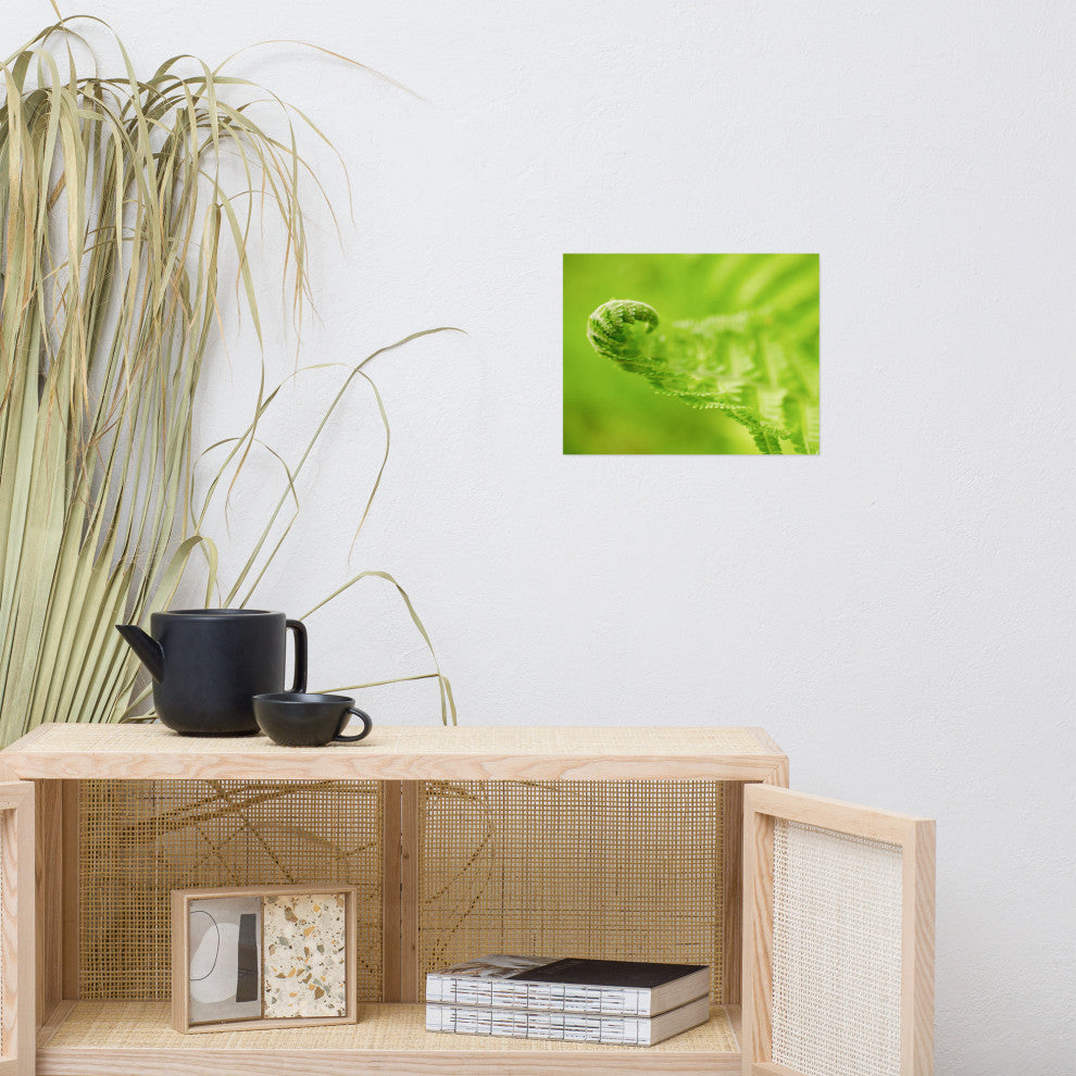 Fern Curl Nature Photography, Botanical Unframed Wall Art Print, 11" X 14"