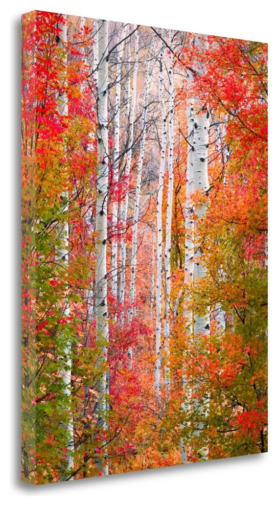 "Autumn Passage" By Elizabeth Carmel, Giclee Print on Gallery Wrap Canvas