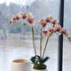 Phalaenopsis 32" Drop-In Burgundy