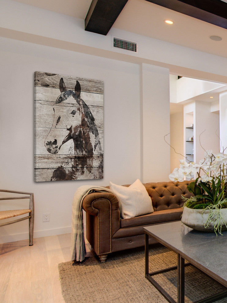 "Picolino Horse" by Irena Orlov Painting Print Wrapped Canvas, 24x36
