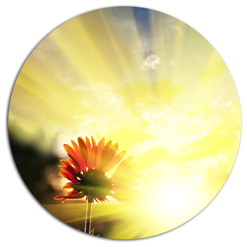 Flower Against Bright Yellow Sunset, Flower Disc Metal Artwork, 36"