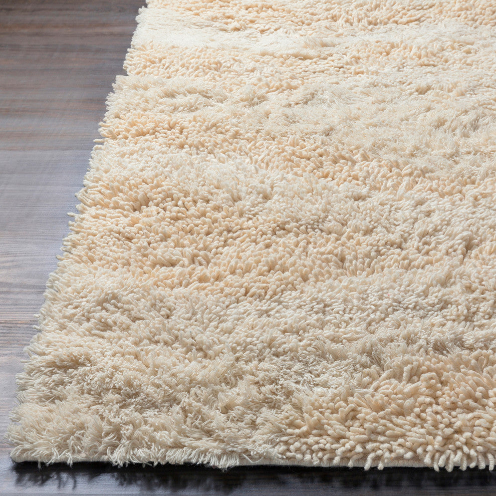 Berkley Area Rug, 2'6"x8'