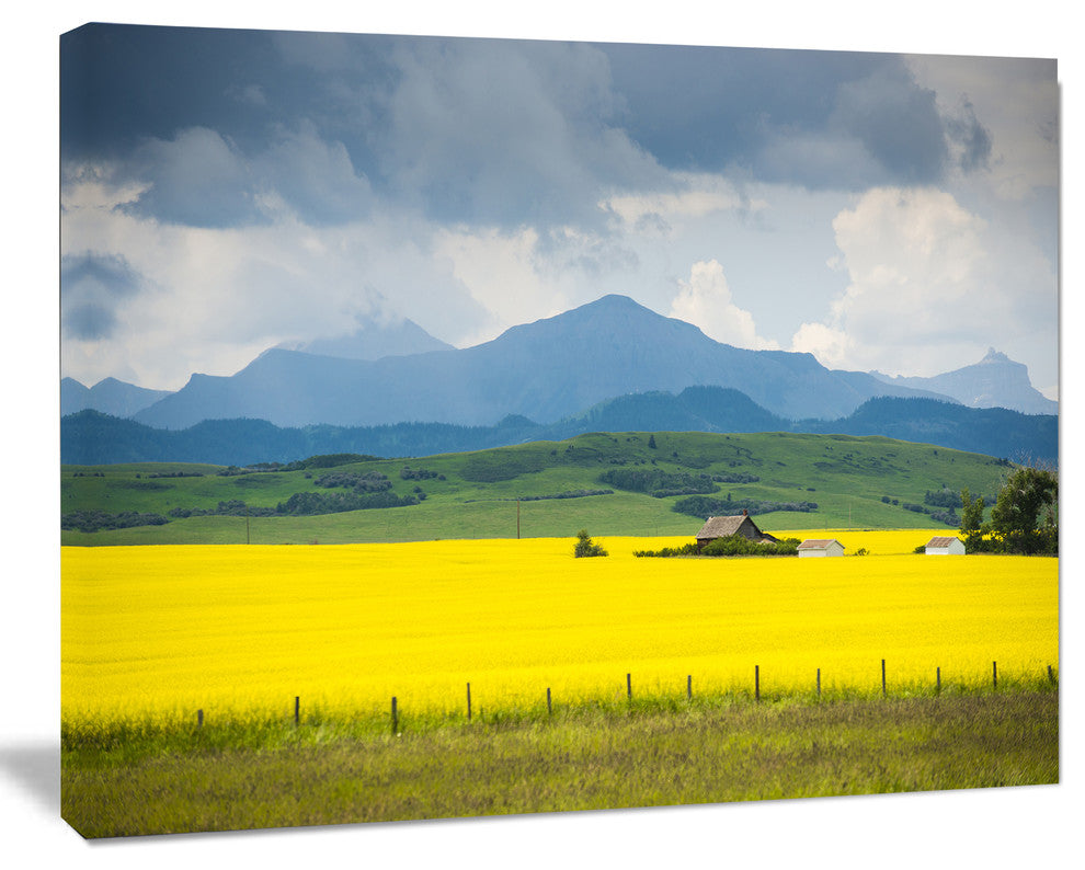 Farm House in Field Of Canola, Landscape Canvas Art Print, 60x40