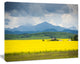 Farm House in Field Of Canola, Landscape Canvas Art Print, 60x40