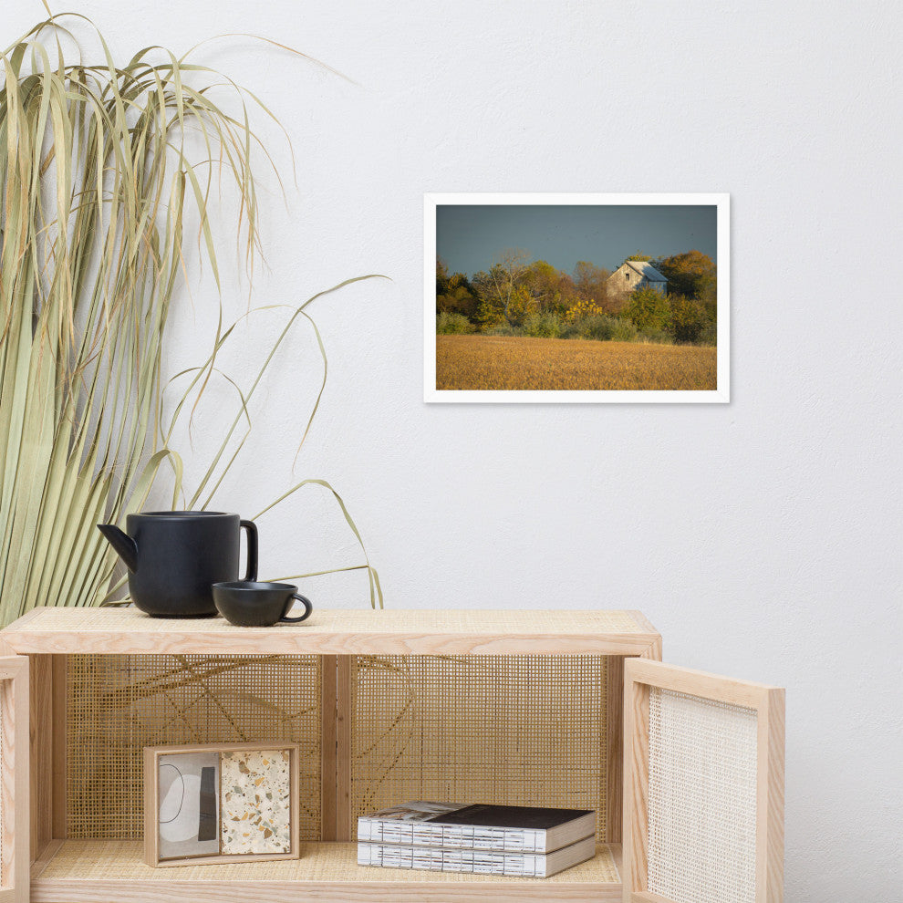 Abandoned Barn In The Trees Framed Photo Paper Wall Art Prints, White, 12" X 18"