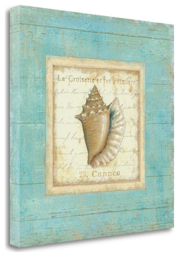 20" French Chic Seashell Print on Gallery Wrap Canvas Wall Art