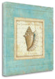 20" French Chic Seashell Print on Gallery Wrap Canvas Wall Art