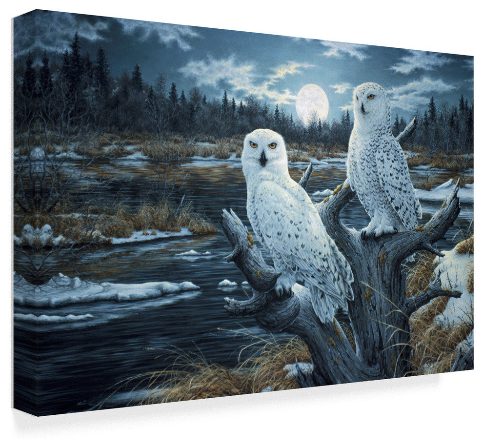 Jeff Tift 'Snowy Owls' Canvas Art, 32"x22"