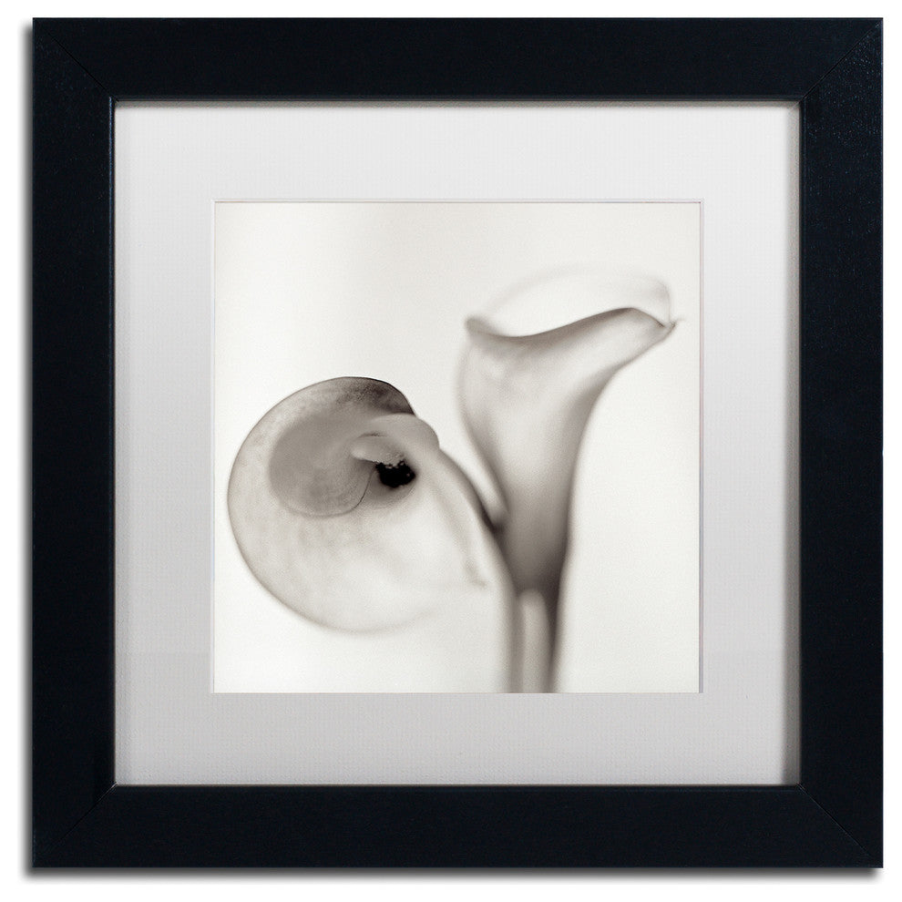 Alan Blaustein ''Florison 35'' Art, Black Frame, White Mat, 11x11