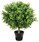 Potted Two-Tone Artificial Murraya Tree, 24"