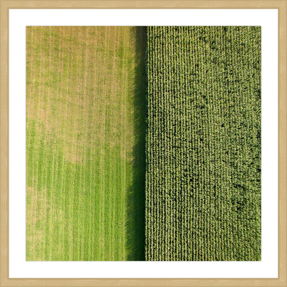 "Green Rows" Framed Print by Karolis Janulis