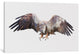 "Arctic Eagle" by Andreas Lie, 26x18x1.5"