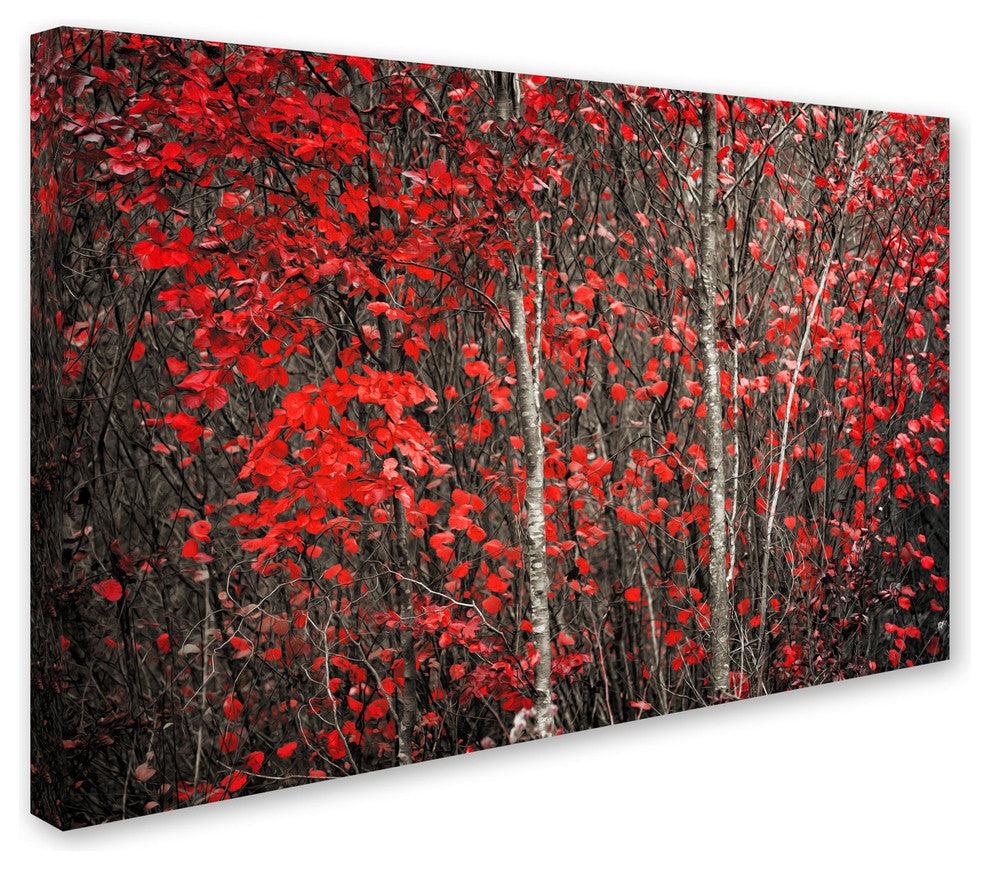 'The Hush Before Winter' Canvas Art by Philippe Sainte-Laudy