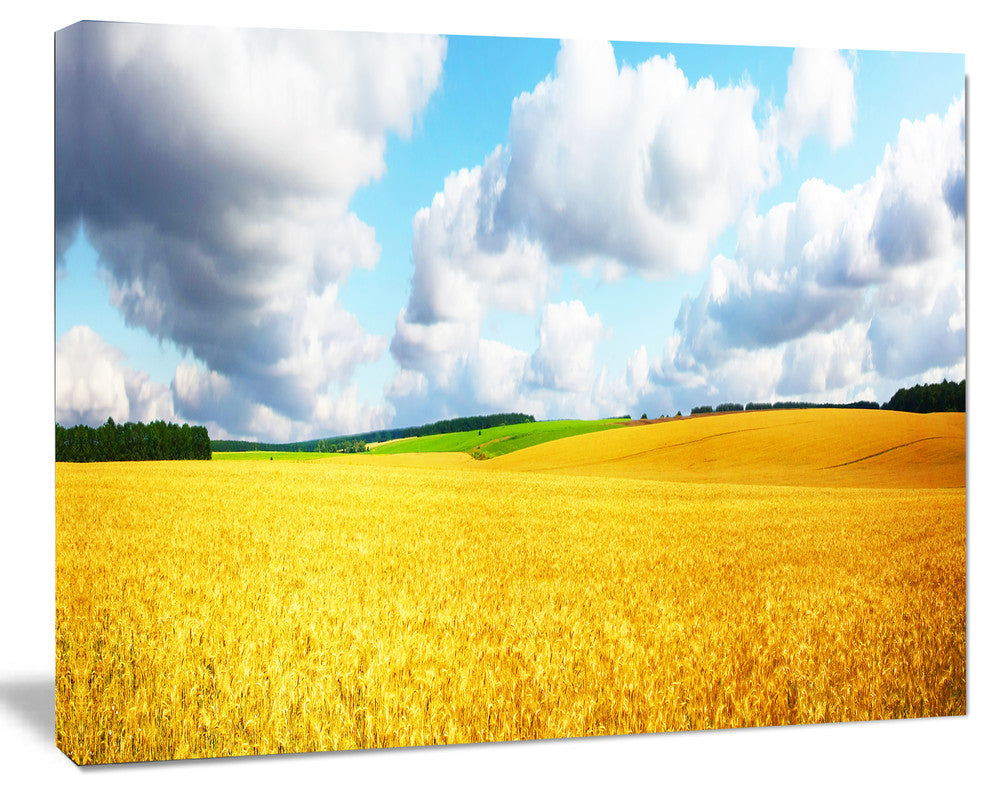 Beautiful Field Panorama, Landscape Canvas Art Print, 20"x12"