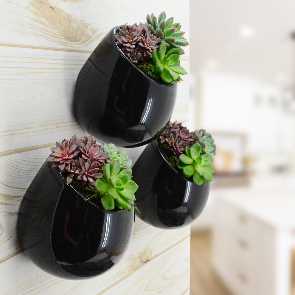 Small Round Wall Planters, Set of 3, Black
