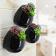 Small Round Wall Planters, Set of 3, Black