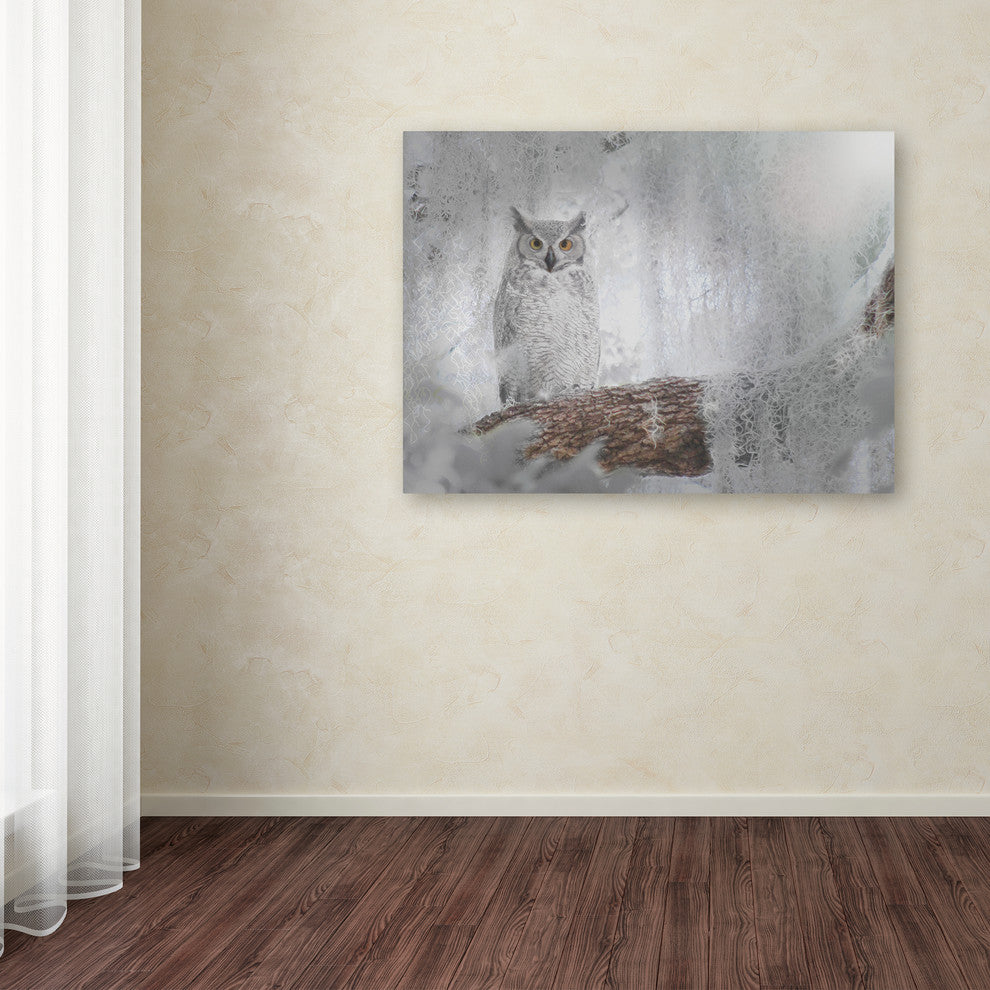 Patty Tuggle 'Owl Dreams' Canvas Art, 47"x35"