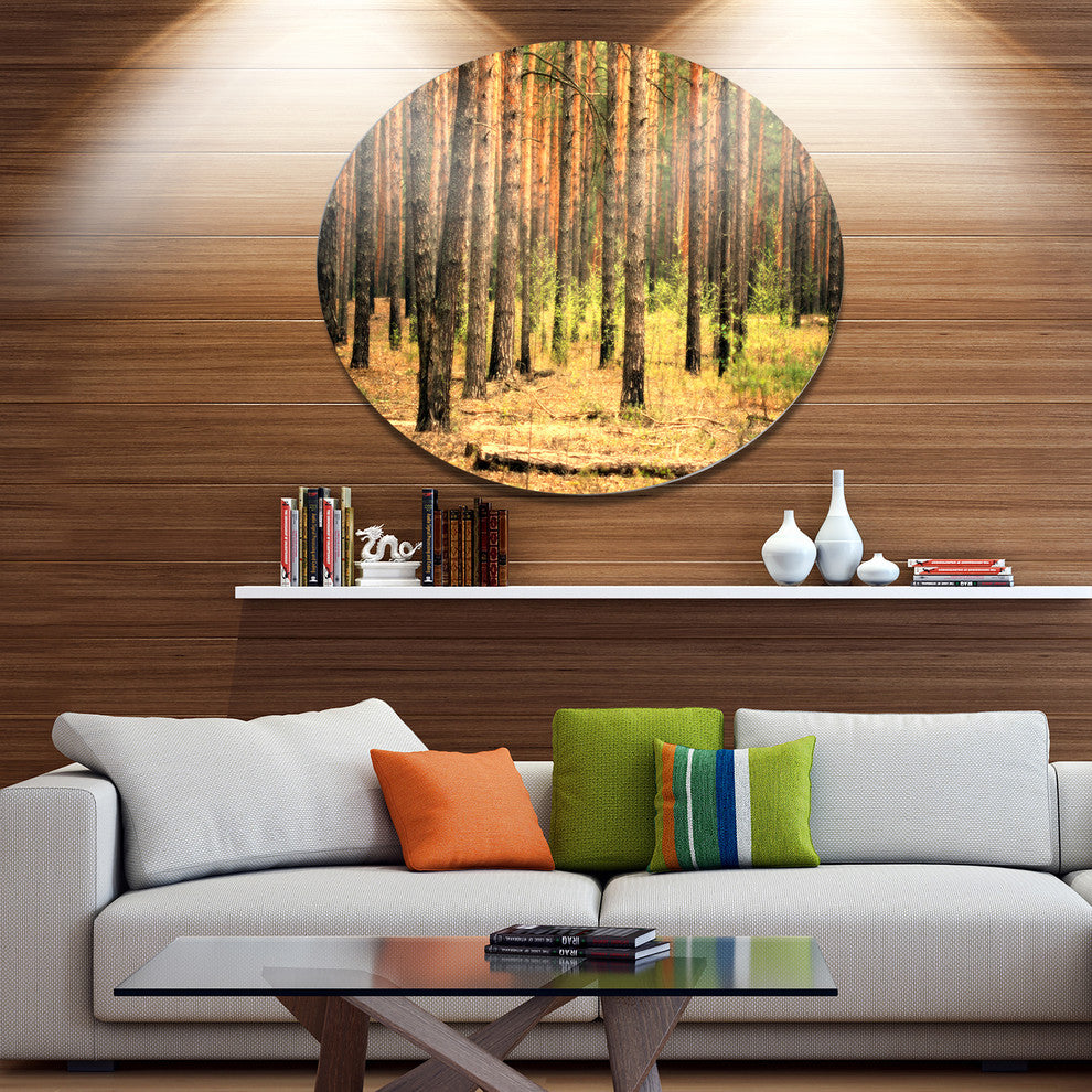Beautiful Pine Forest At Sunset, Forest Disc Metal Wall Art, 11"