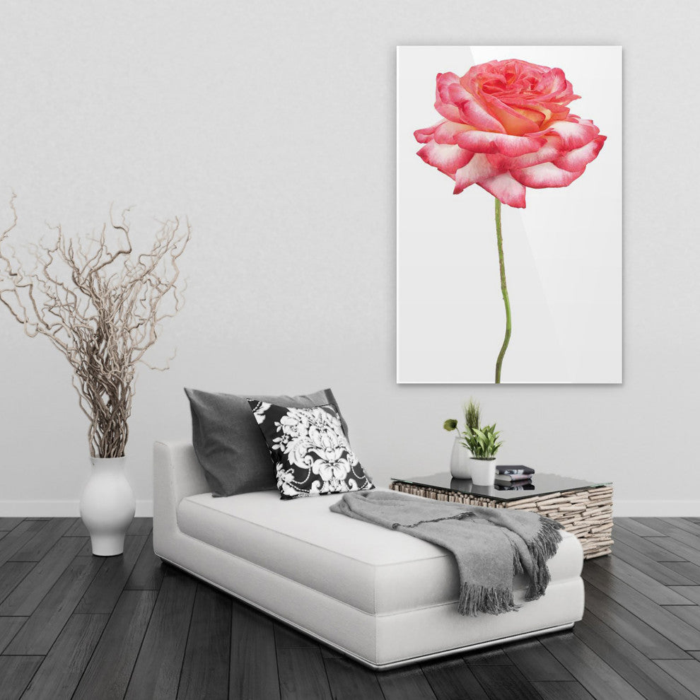Pink Rose Wall Art Frameless Free Floating Tempered Art Glass, 32"x 48"