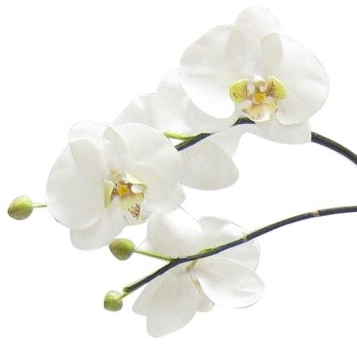 Artificial Phalaenopsis Double Orchid Drop In