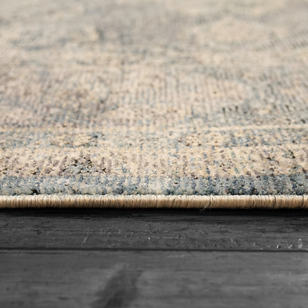 Dynamic Rugs Sirus Shrink Polyester Machine-Made Area Rug 6.7x9.6'
