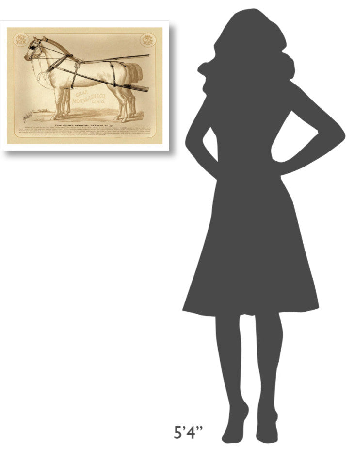 "Saddles and Tack: Fine Double Barouche Harness" Paper Print, 26"x20"