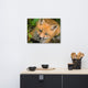 Young Red Fox Face Animal Wildlife Nature Photograph Canvas Wall Art Prints, 18" X 24"