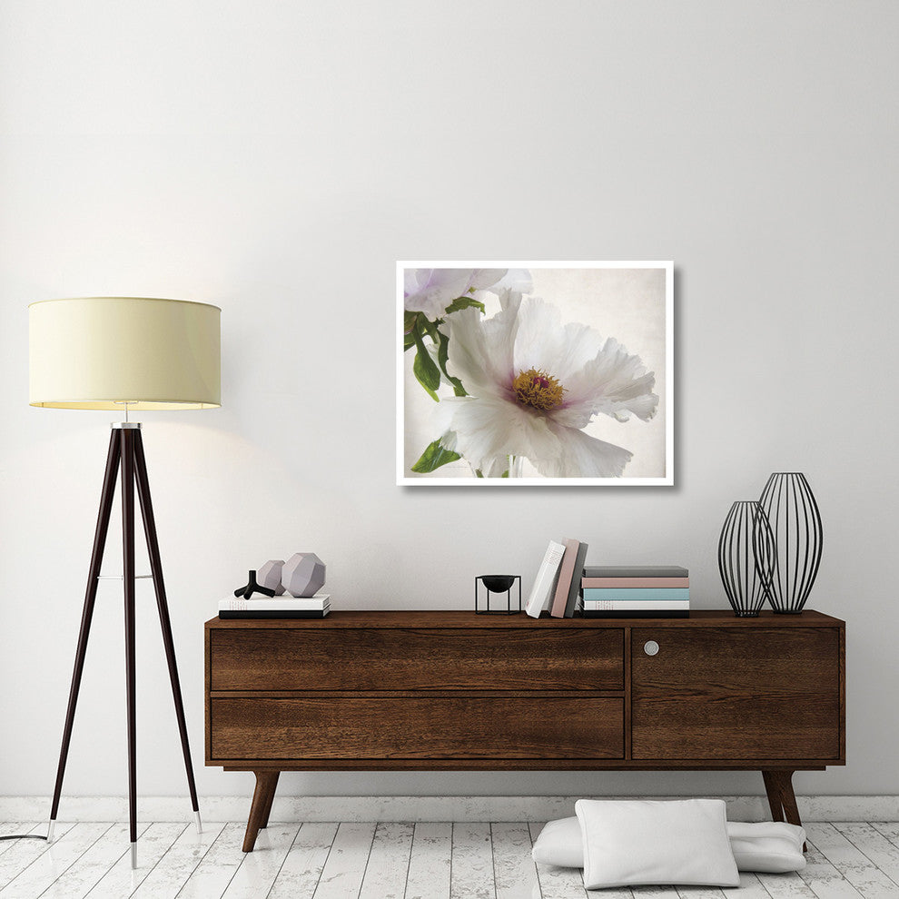 "Translucent Peony VI" Digital Paper Print by Debra Van Swearingen, 37"x30"