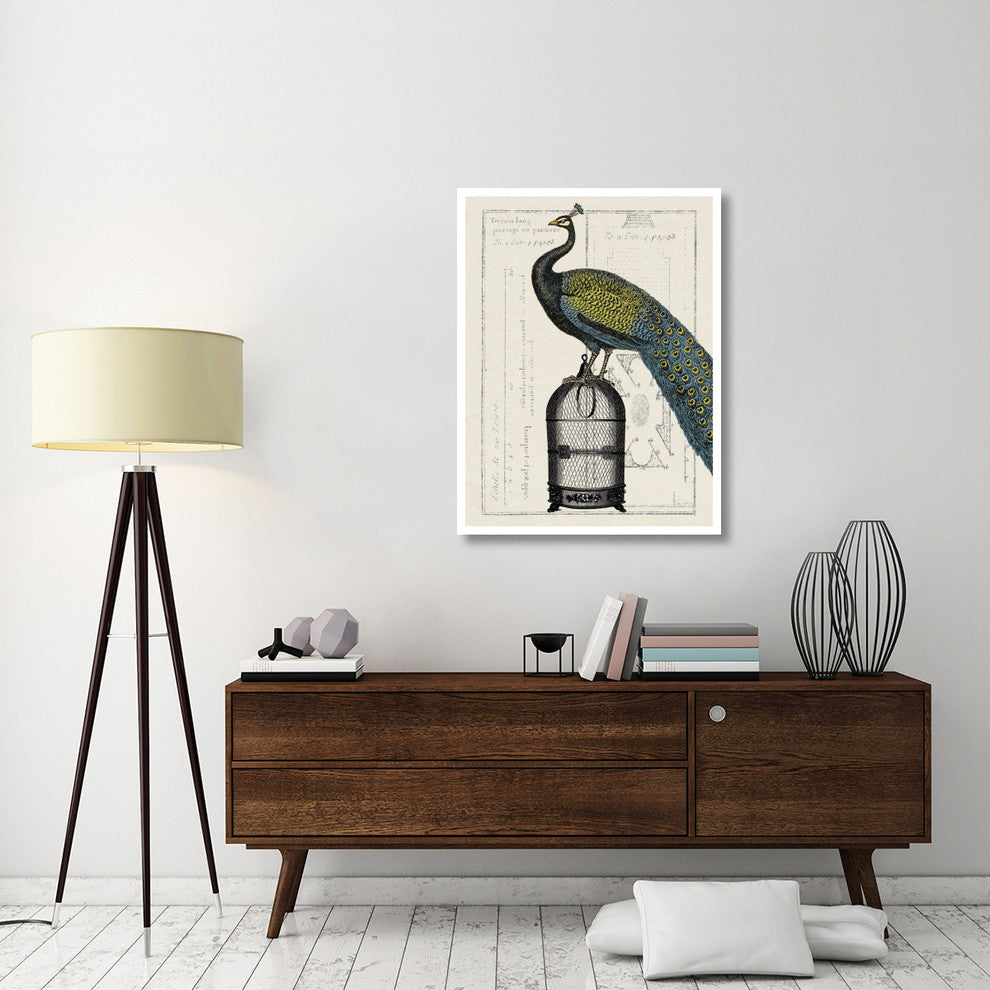 "Peacock Birdcage II" Digital Paper Print by Sue Schlabach, 32"x42"