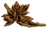 Vickerman 6" Aspen Gold Star Pod, 1 Piece, Dried
