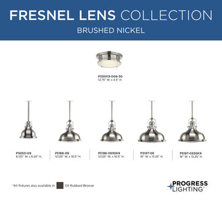 1-Light Pendant, Brushed Nickel