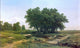 Ivan Ivanovich Shishkin Oaklets Wall Decal
