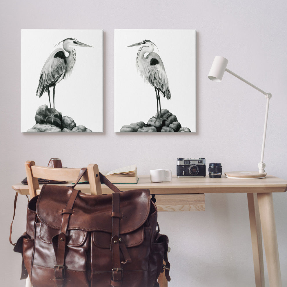 Great Herons Standing Rocks Black White Bird Portraits,24 x 30