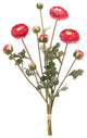 Ranunculus Bundle, Set of 2