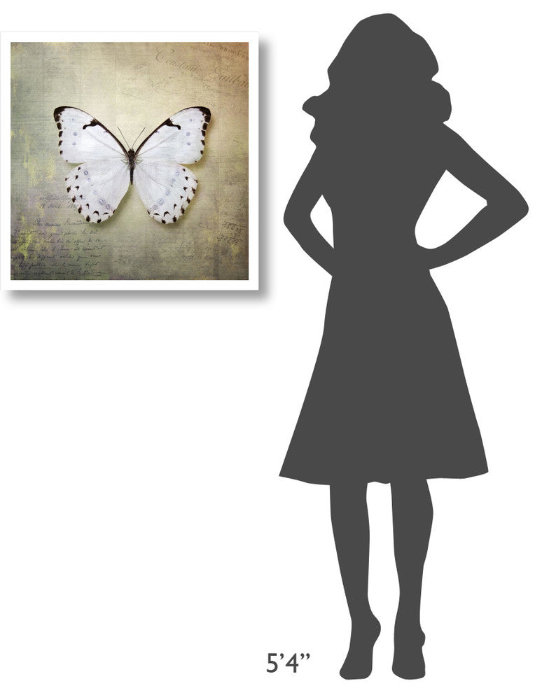 "French Butterfly II" Digital Paper Print by Debra Van Swearingen, 26"x26"