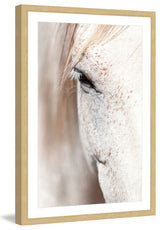"Gentle Eye" Framed Art Print