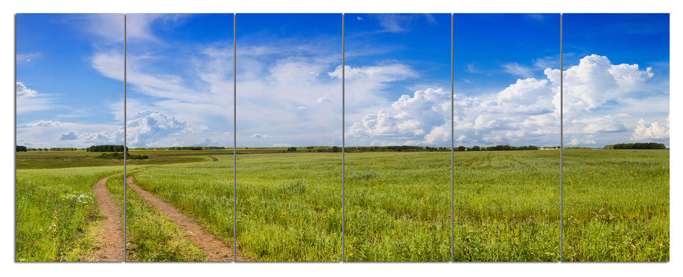 Road in Field with Green Grass, Landscape Canvas Art Print, 70"x28", 6 Panels