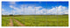 Road in Field with Green Grass, Landscape Canvas Art Print, 70"x28", 6 Panels