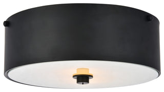 Elegant Lighting LD6024 Hazen 2 Light 12"W Flush Mount Drum - Flat Black