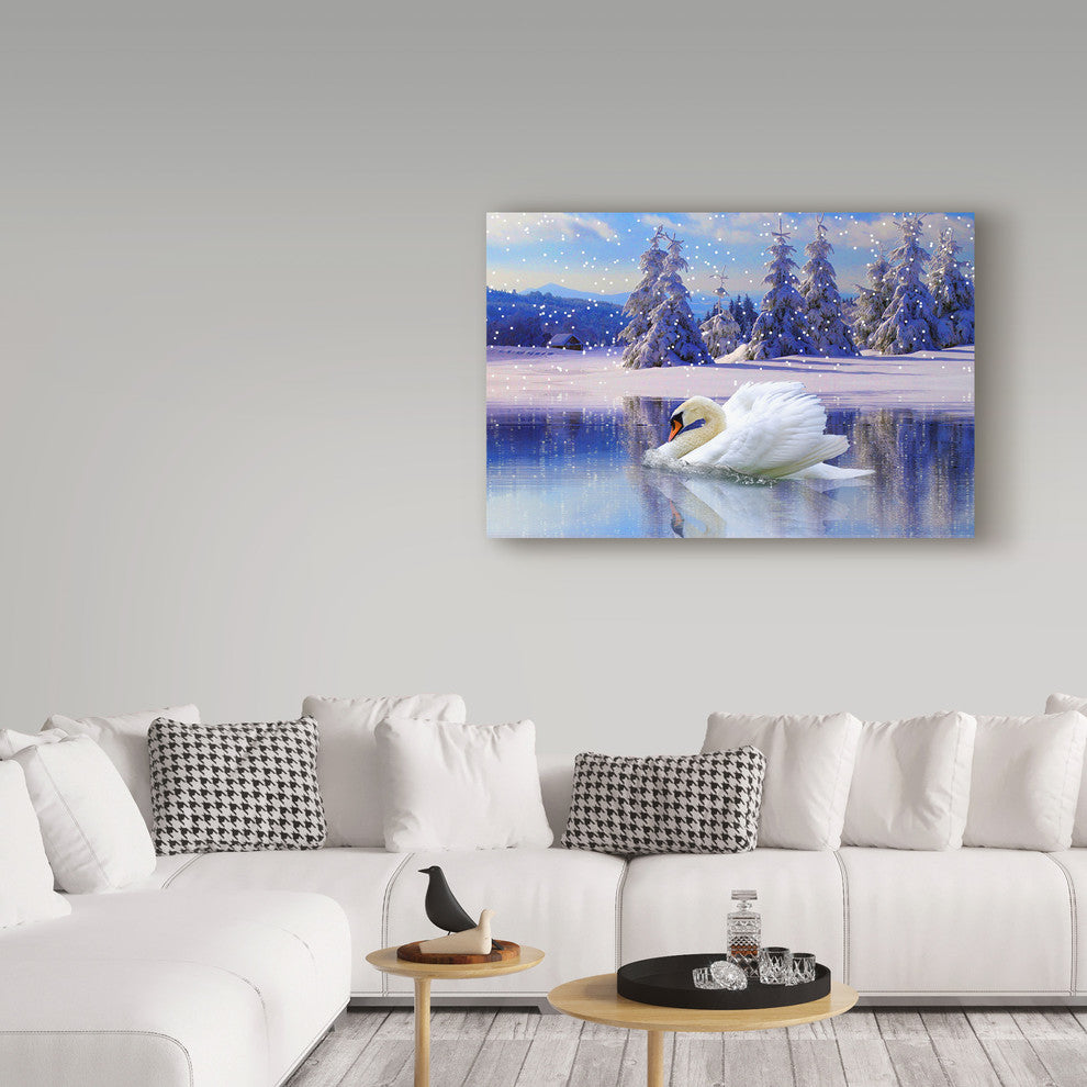"Swan Winter" by Ata Alishahi, Canvas Art, 12"x19"